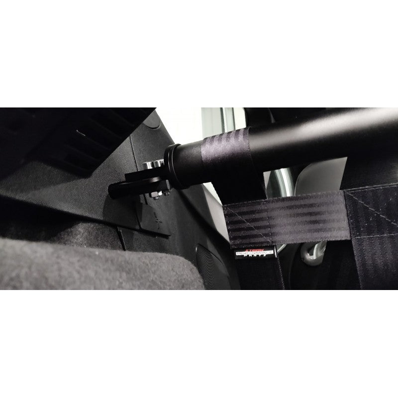 Clubsport Set V1 - Strebe mit Netz für Ford Fiesta ST MK8